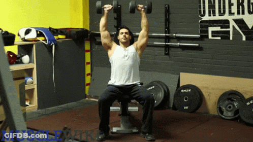 Man Sitting On Bench Holding Dumbbells Under Gym Wall GIF