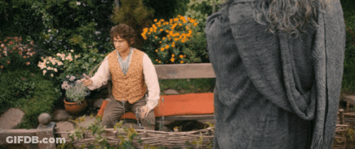 Man Sitting On Bench In Garden Holding Flowers GIF