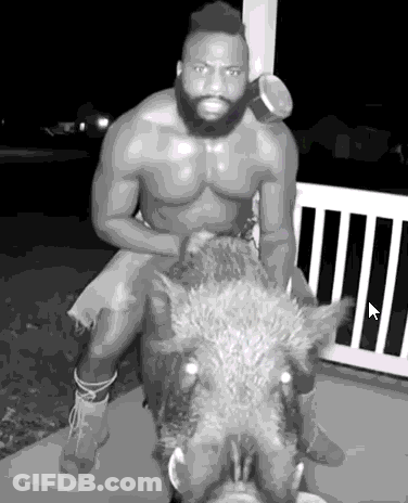 Man Sitting On Boar GIF