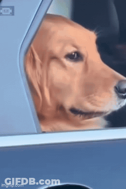 Man Sitting On Couch I Get It Now GIF