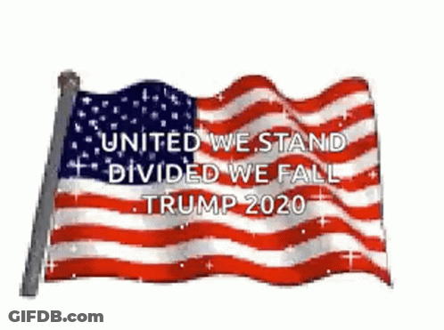 Man Sitting On Couch Next To Man Standing By Trump Sign GIF