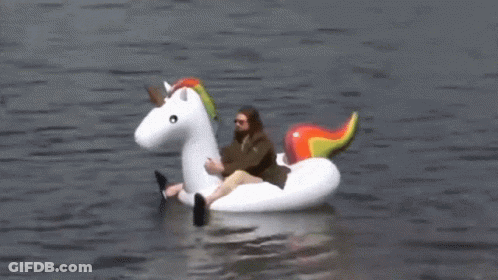 Man Sitting On Inflatable Unicorn In Water GIF