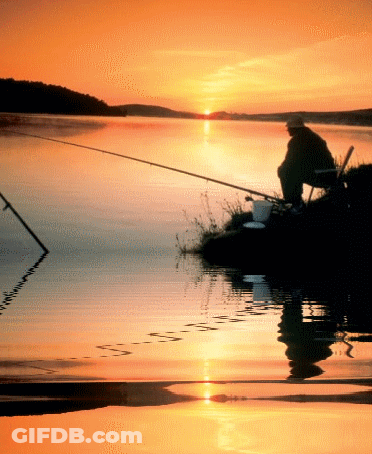 Man Sitting On Lake Shore At Sunset GIF