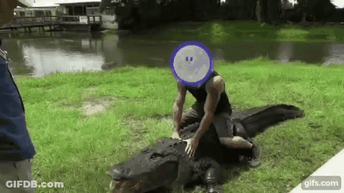 Man Sitting On Large Alligator In Grass GIF