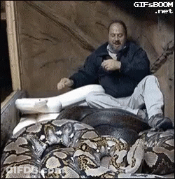 Man Sitting On Pile Of Tires Next To Snake GIF