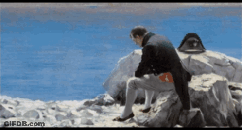 Man Sitting On Rock Near Ocean GIF