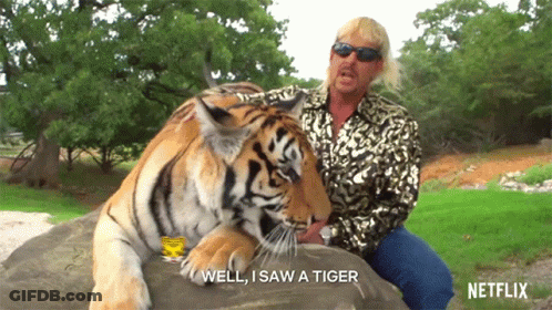 Man Sitting On Rock With Tiger Saying Well I Saw A Tiger GIF