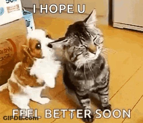 Man Sitting On Swing Waiting For Div 2 Standings Update GIF