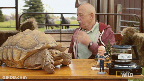 Man Sitting With Turtle And Coffee Express GIF