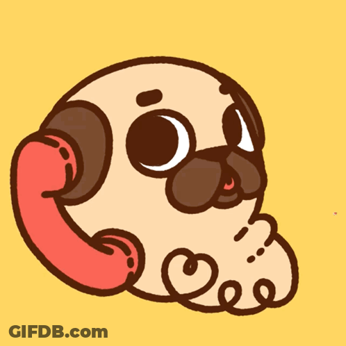 Man Sleeping With Dog On Chest Prime GIF
