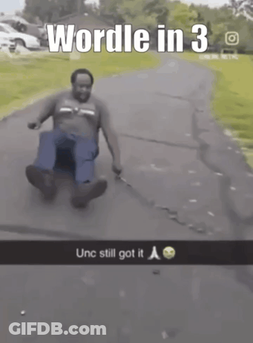 Man Sliding Down Road Wordle In 3 GIF