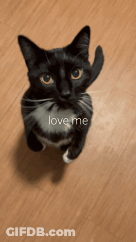 Man Smiling Close Up GIF