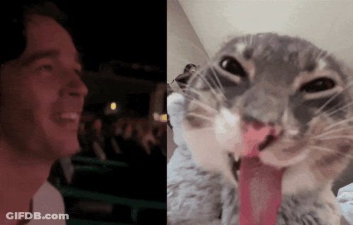 Man Smiling Next To Tongue Out Cat GIF