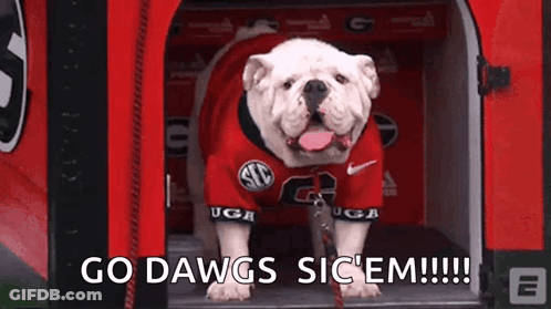 Man Smiling Saying Go Dawgs GIF