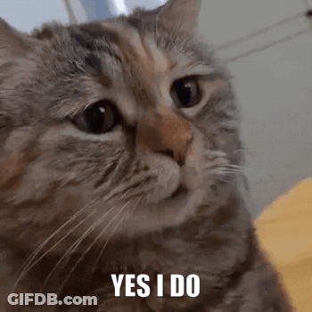 Man Smiling Saying Yes Yes I Do GIF
