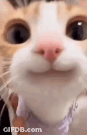 Man Smiling With You Gonna Get It Too GIF