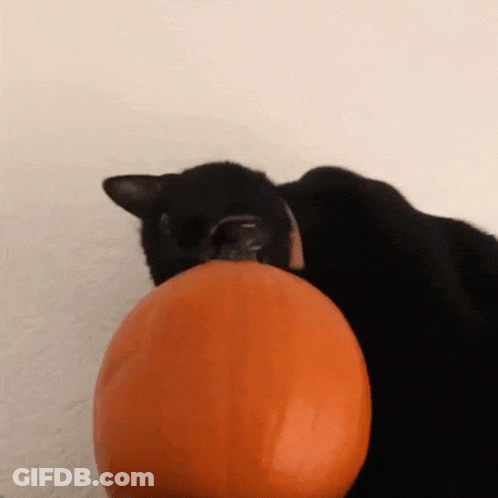 Man Smoking Cigarette In Front Of Pumpkin With Candle GIF