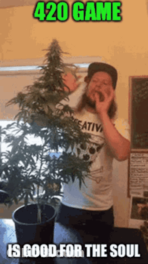 Man Smoking Weed Sign 420 Game GIF