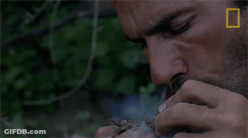 Man Smoking With National Geographic Logo GIF