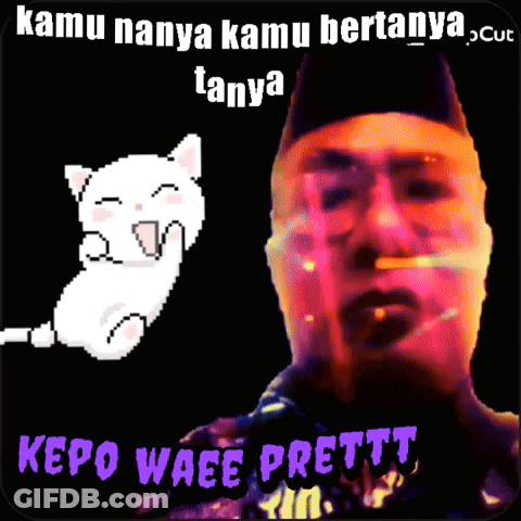 Man Smoking With White Cat Kamu Nanya Kamu Bertanya Tanya GIF