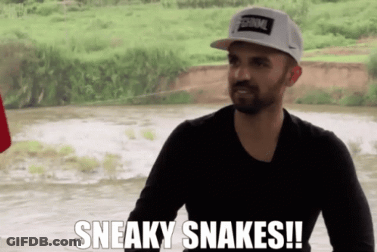 Man Sneaky Snakes GIF