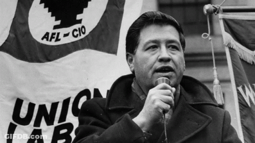 Man Speaking Into Microphone In Front Of Union Labs Flag GIF