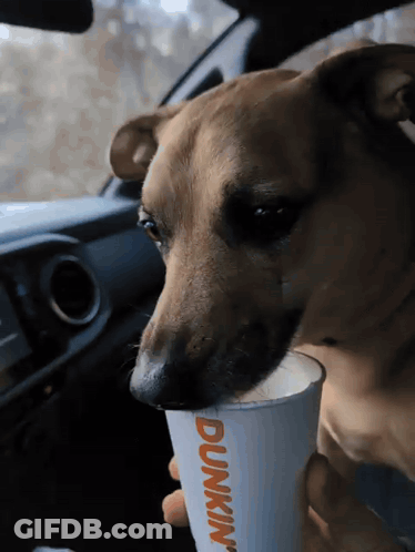 Man Speaking To Another With Speak To The Hand GIF