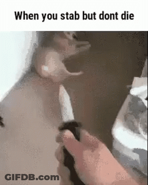 Man Stabbing Dog With Toy Knife GIF