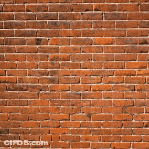 Man Standing Before Brick Wall GIF