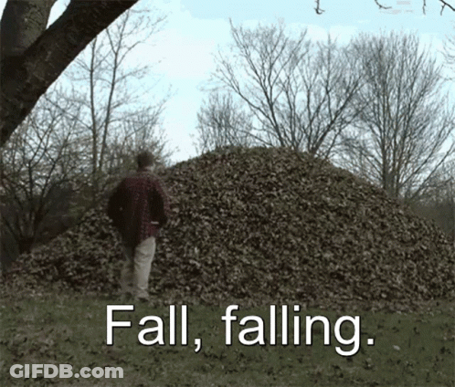 Man Standing Before Pile Of Leaves Saying Fall Falling GIF