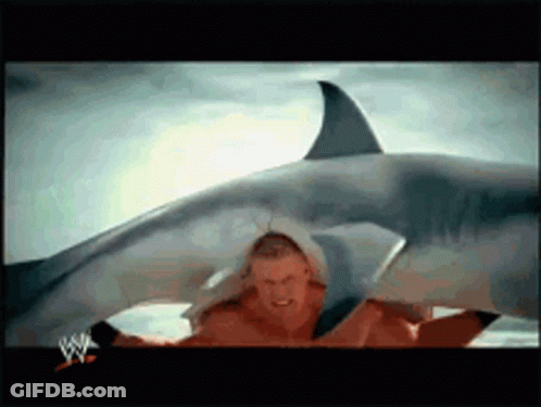 Man Standing Before Shark With W Logo GIF