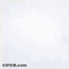 Man Standing Beside Skull In Forest GIF