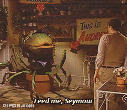 Man Standing By Sign This Is Audrey GIF