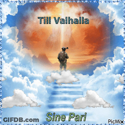Man Standing In Clouds Till Valhalla Sine Pari GIF