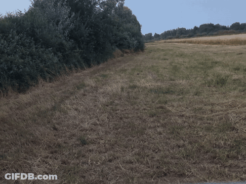 Man Standing In Field With White Shirt GIF