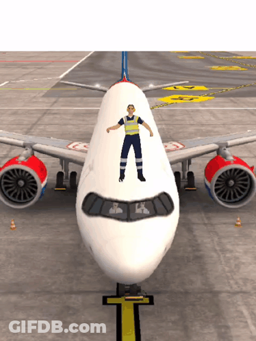 Man Standing In Front Of Airplane GIF