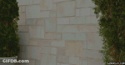 Man Standing In Front Of Brick Wall GIF