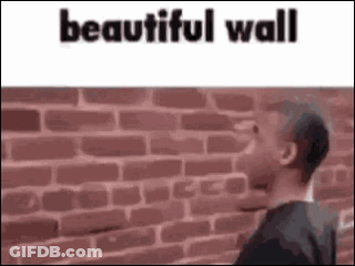 Man Standing In Front Of Brick Wall GIF