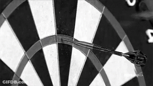 Man Standing In Front Of Dart Board Saying Unicorn GIF