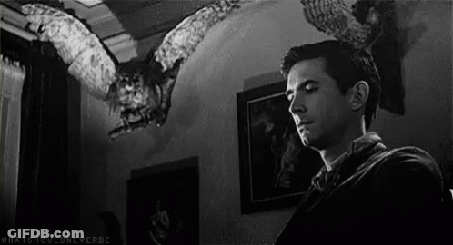 Man Standing In Front Of Flying Owl GIF