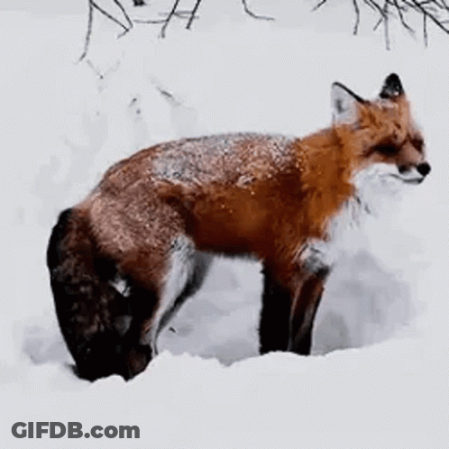 Man Standing In Front Of Iron Fist Ult Wall GIF