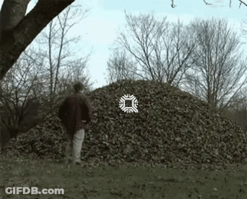 Man Standing In Front Of Leaf Pile In Field GIF
