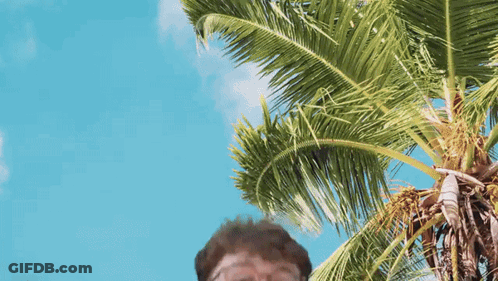 Man Standing In Front Of Palm Tree GIF