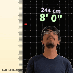 Man Standing In Front Of Ruler Saying 244 Cm 8' 0 GIF