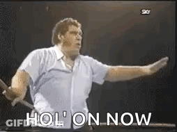 Man Standing In Front Of TV With Arms Outstretched Saying Hol On Now GIF