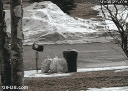 Man Standing In Front Of Window Saying Points GIF