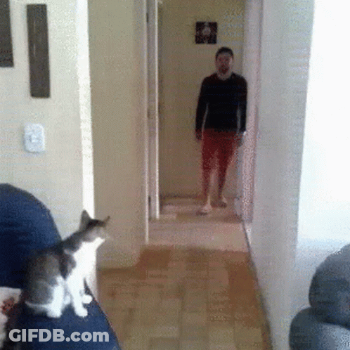 Man Standing In Hallway With Cat On Couch GIF