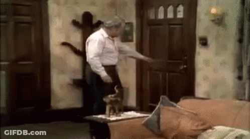 Man Standing In Living Room Next To Couch And Cat GIF