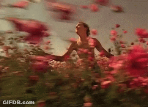Man Standing In Red Flower Field GIF