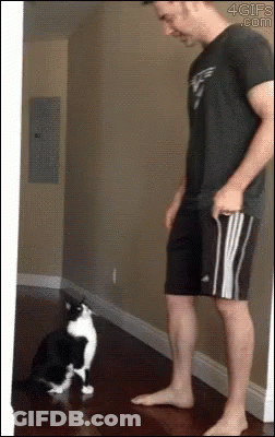 Man Standing Next To Black And White Cat GIF